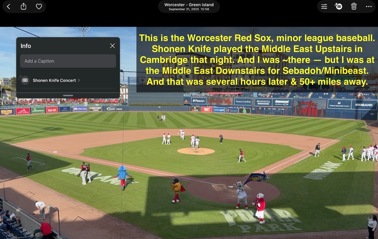 Worcester Red Sox minor league baseball game, or Japanese pop-punk band Shonen Knife?